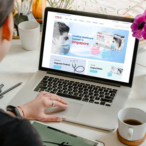 eCommerce Website Design Company